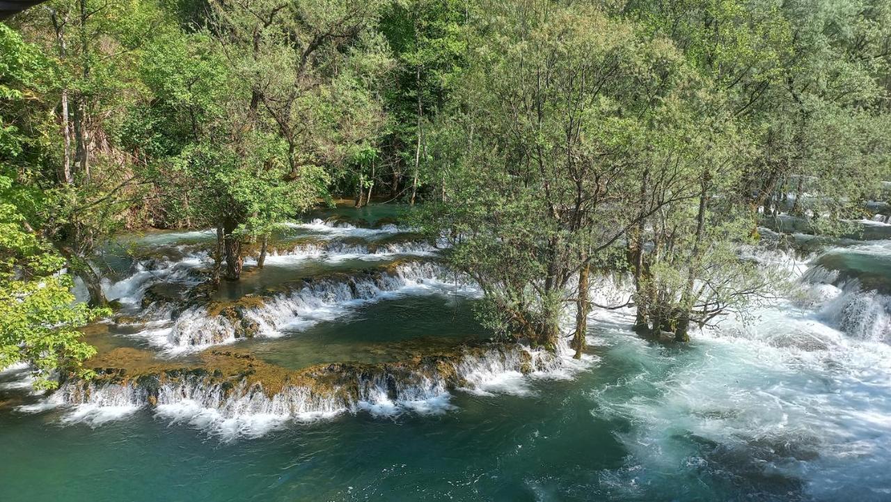 Kuca U Sumi - Forrest House Near Una National Park Bihać Exteriör bild